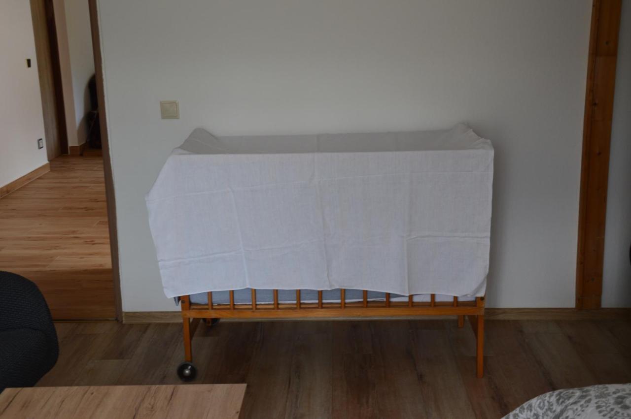 Horsky Apartman Pod Zelenou Strechou Bartosovice v Orlickych Horach Eksteriør billede