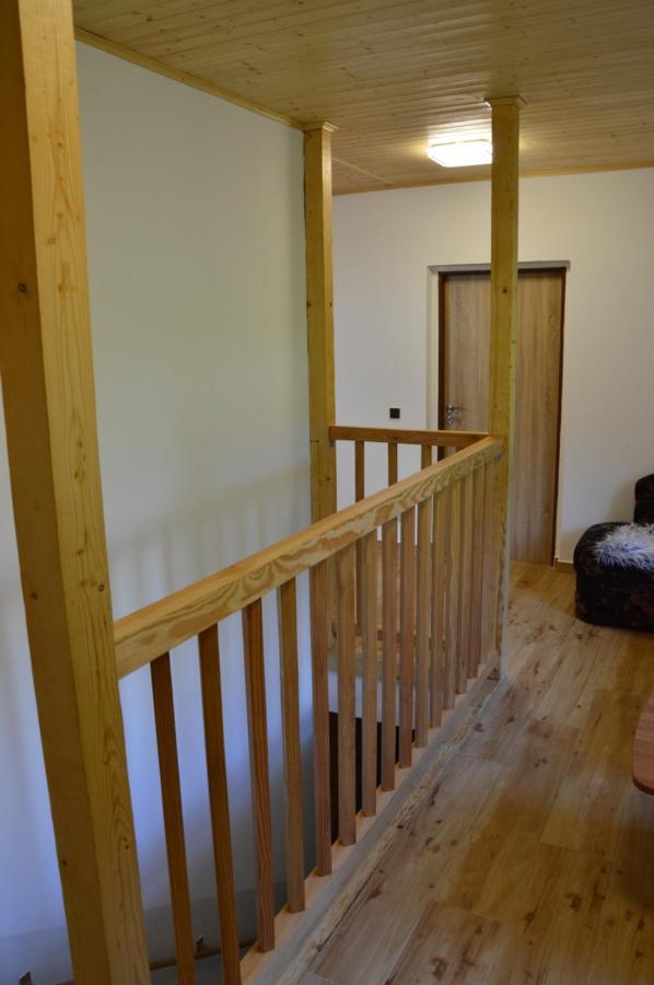 Horsky Apartman Pod Zelenou Strechou Bartosovice v Orlickych Horach Eksteriør billede