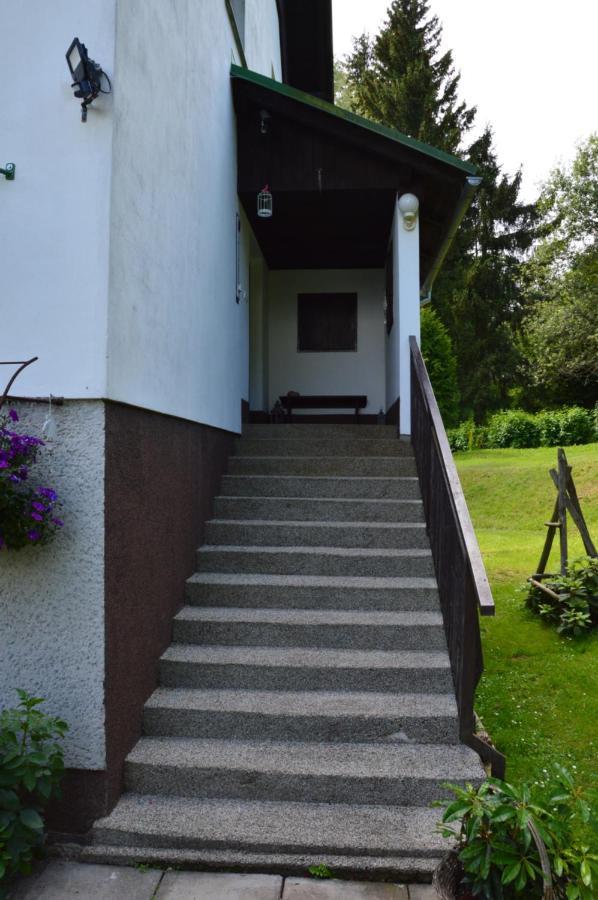 Horsky Apartman Pod Zelenou Strechou Bartosovice v Orlickych Horach Eksteriør billede