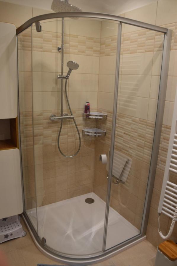 Horsky Apartman Pod Zelenou Strechou Bartosovice v Orlickych Horach Eksteriør billede