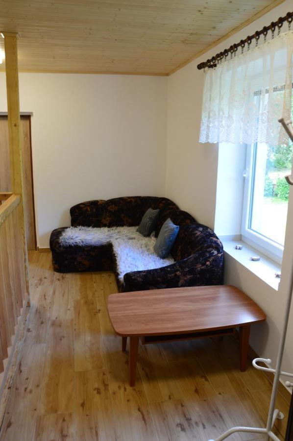 Horsky Apartman Pod Zelenou Strechou Bartosovice v Orlickych Horach Eksteriør billede